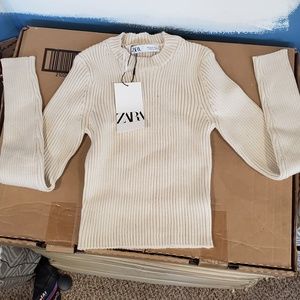 zara cropped ribbed sweater